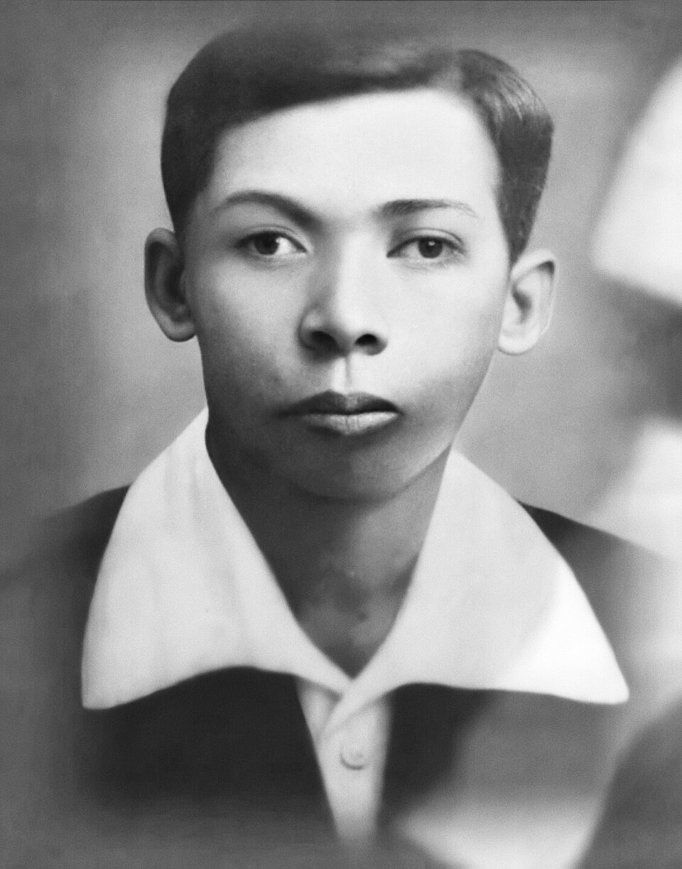 Đỗ Phú Trần Tình